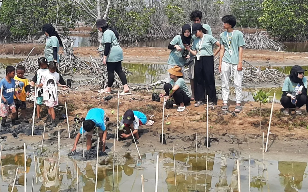 Dosen dan Mahasiswa Vokasi UI Tanam 2.500 Bibit Bakau di Desa Pantai Bakti